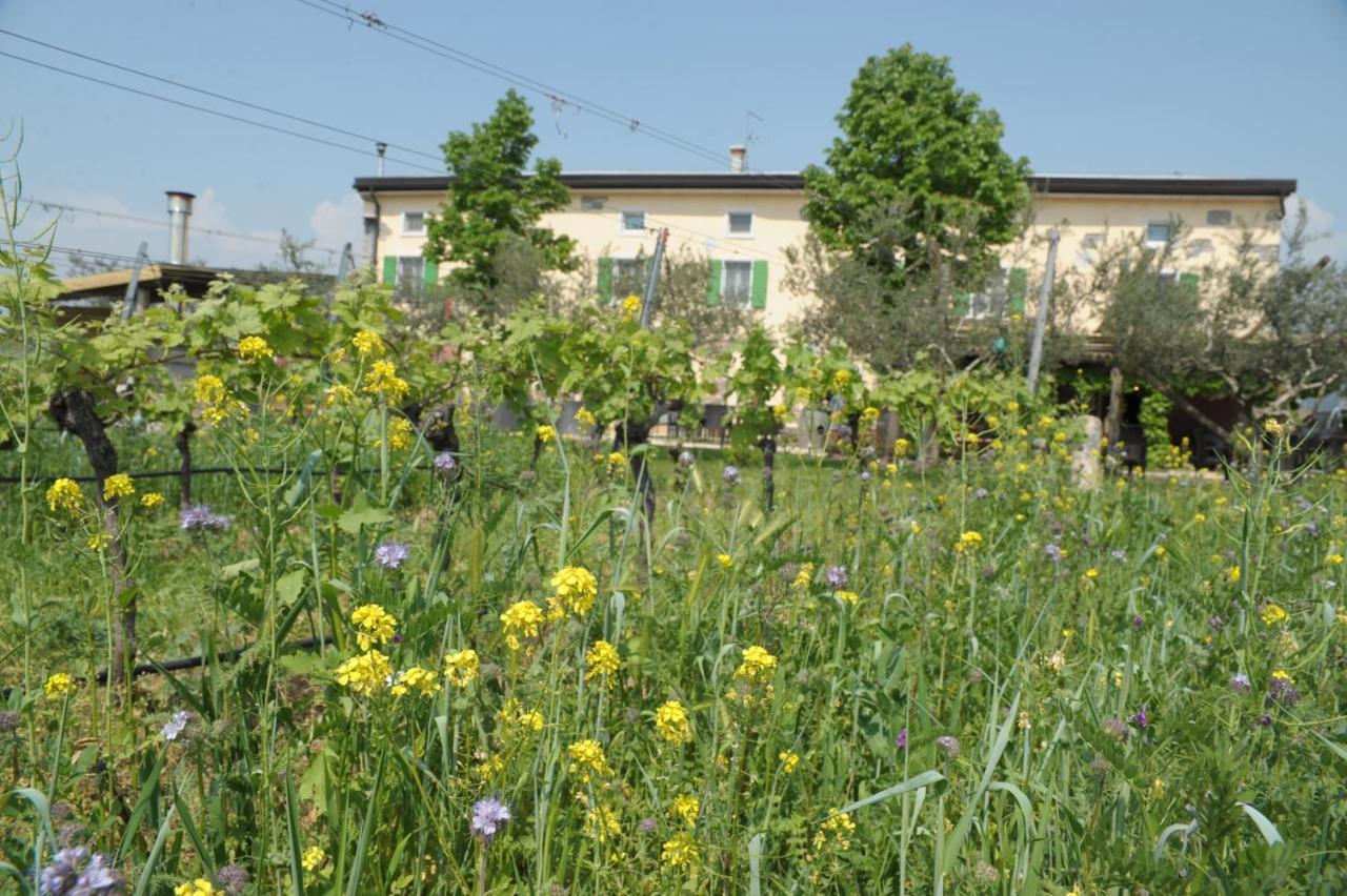 Villa Agriturismo Sol De Montalto à Rivoli Veronese Extérieur photo